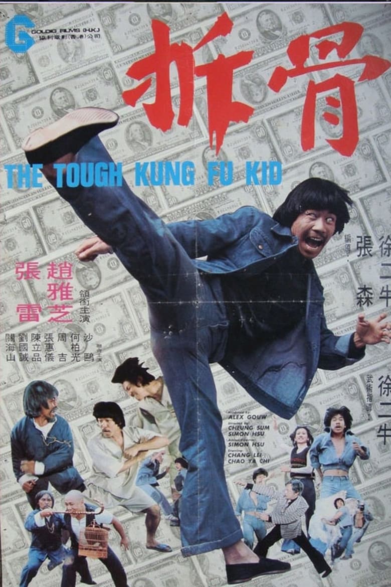 Poster of The Tough Kung Fu Kid