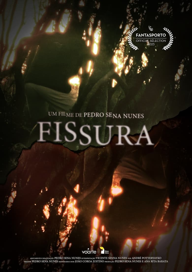 Poster of Fissura