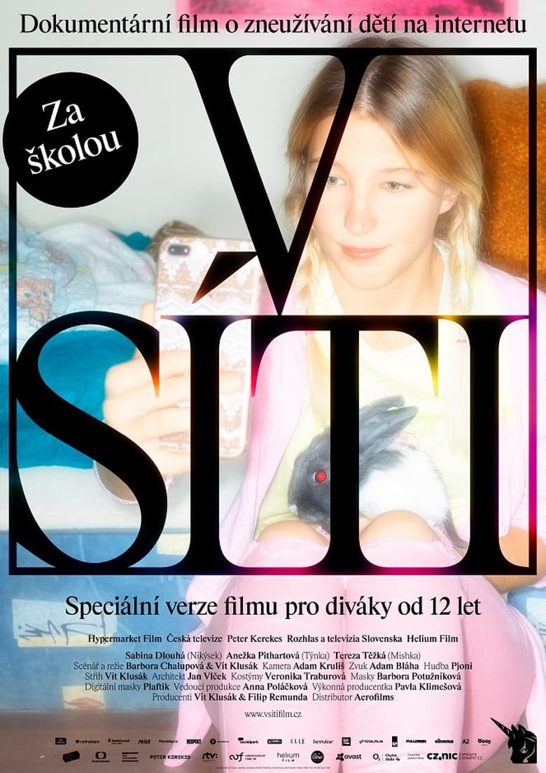 Poster of V síti: Za školou