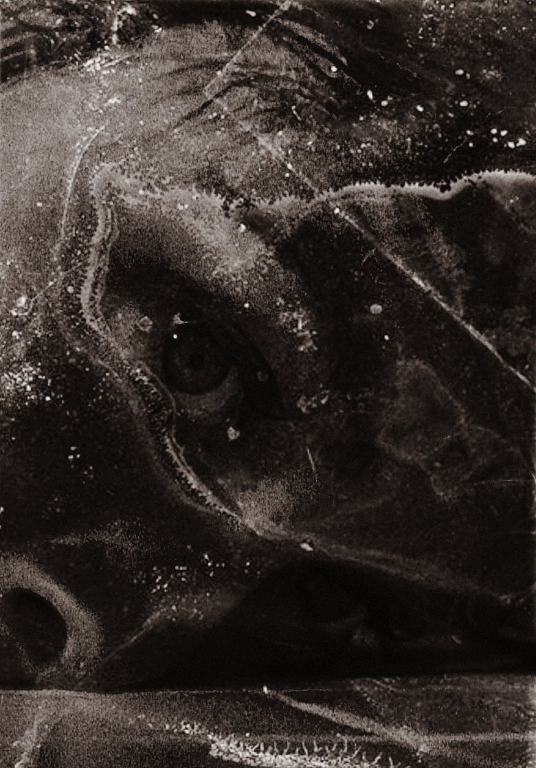 Poster of After Psycho Shower