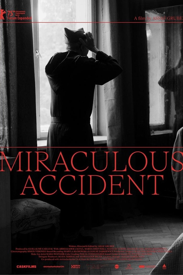Poster of Miraculous Accident