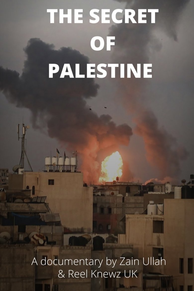 Poster of The Secret of Palestine