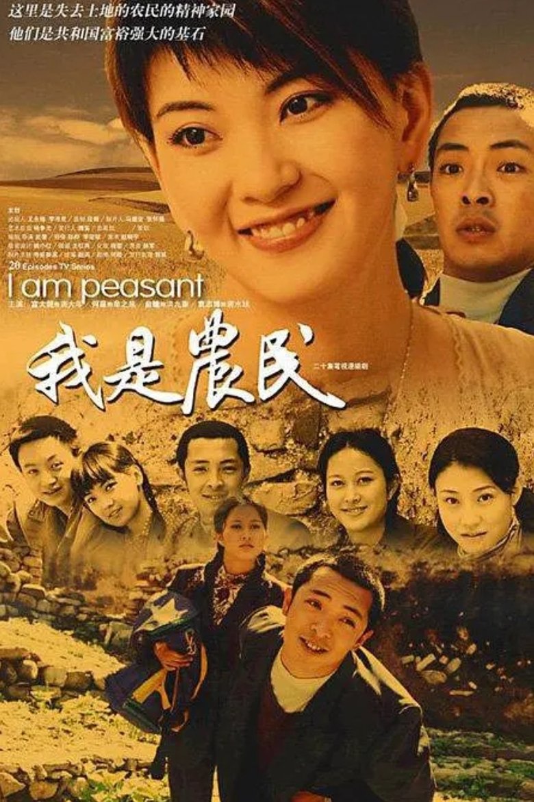 Poster of 我是农民