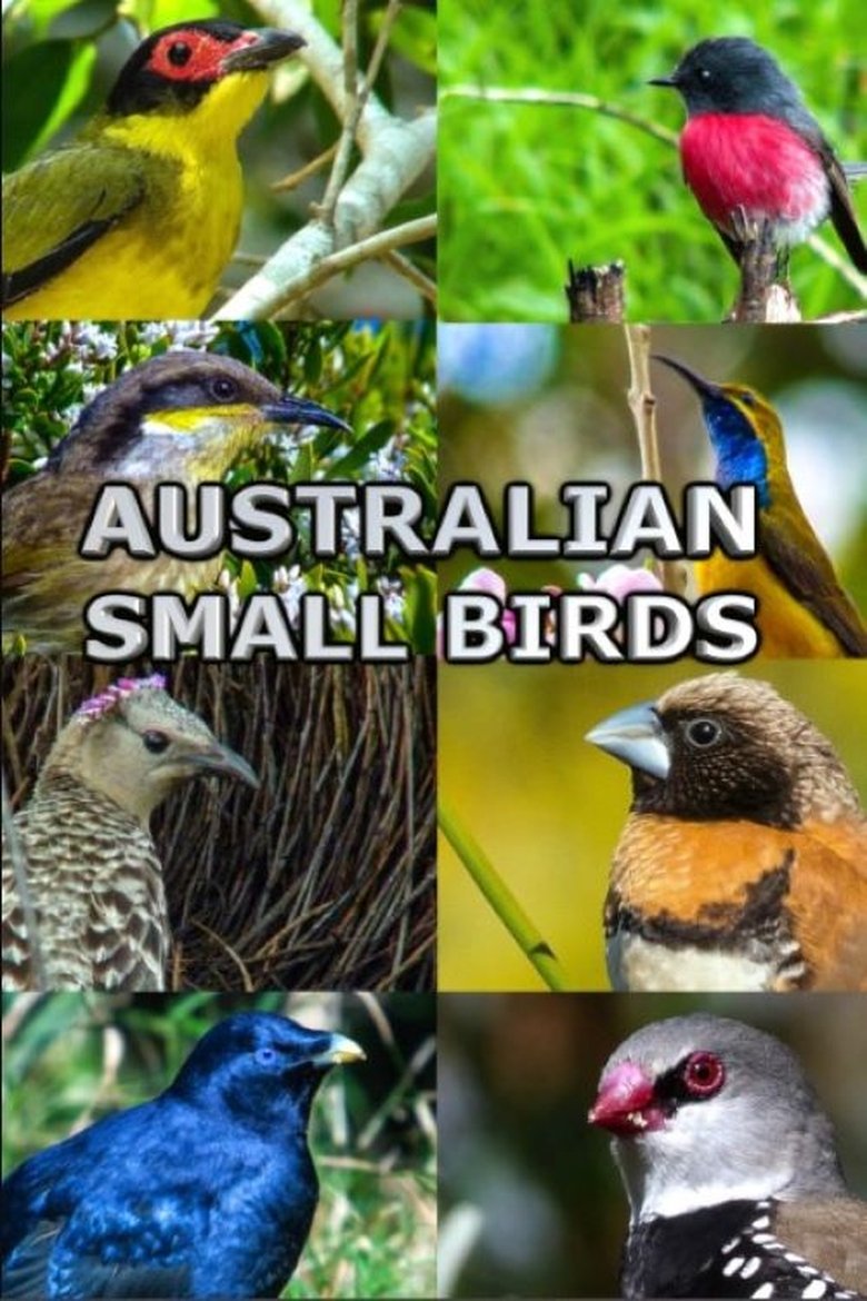 Poster of Australian Small Birds