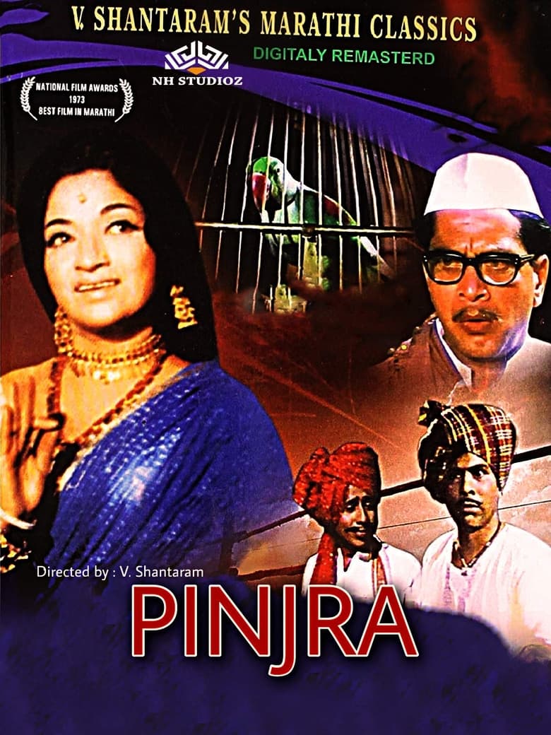 Poster of Pinjra