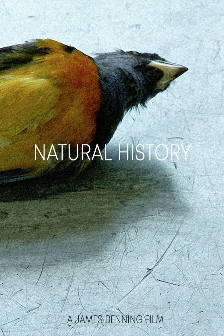 Poster of Natural History