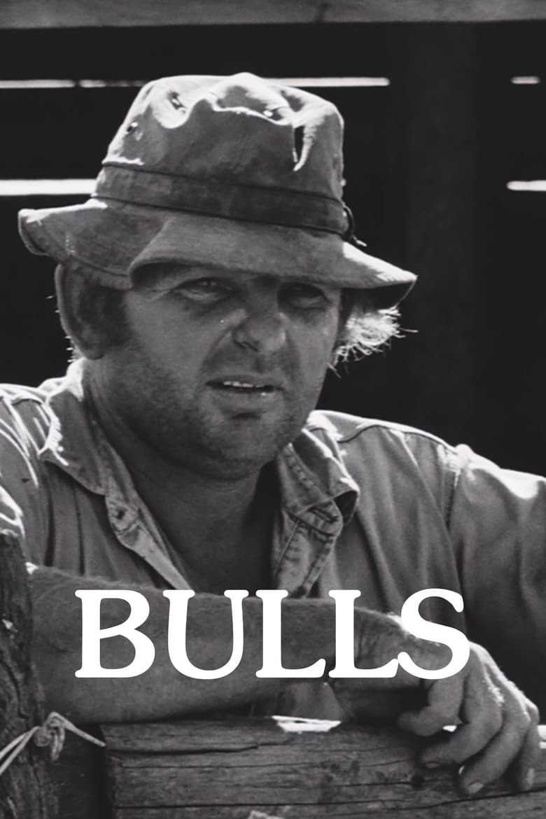 Poster of Bulls