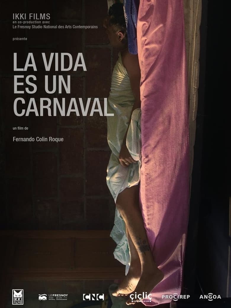 Poster of La vida es un carnaval