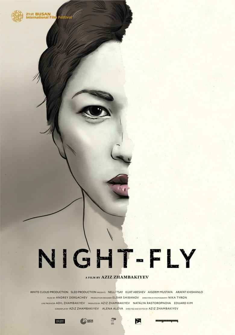 Poster of Night-Fly