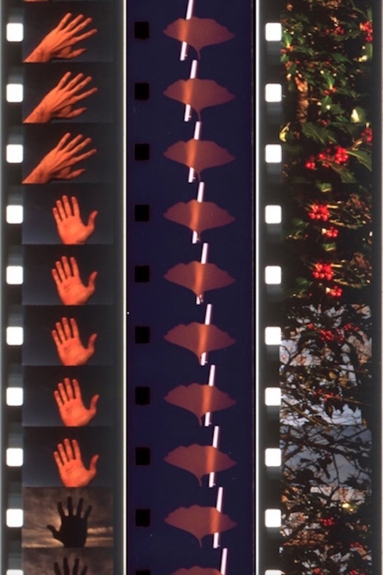 Poster of Twelve Seasonal Films
