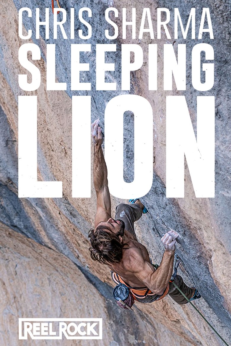 Poster of Sleeping Lion