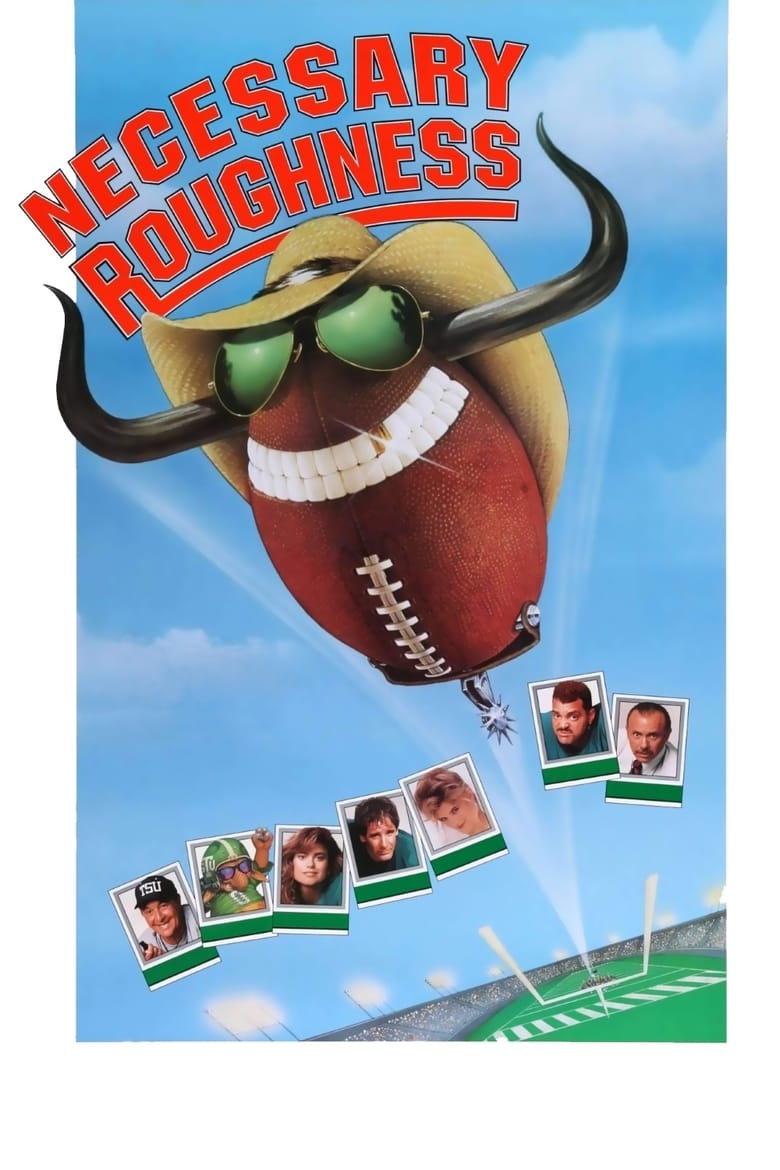 Poster of Necessary Roughness