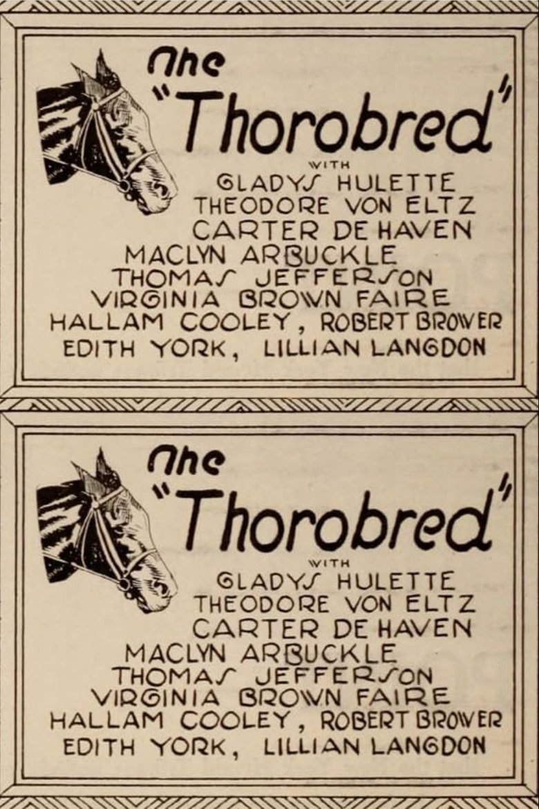 Poster of The Thoroughbred