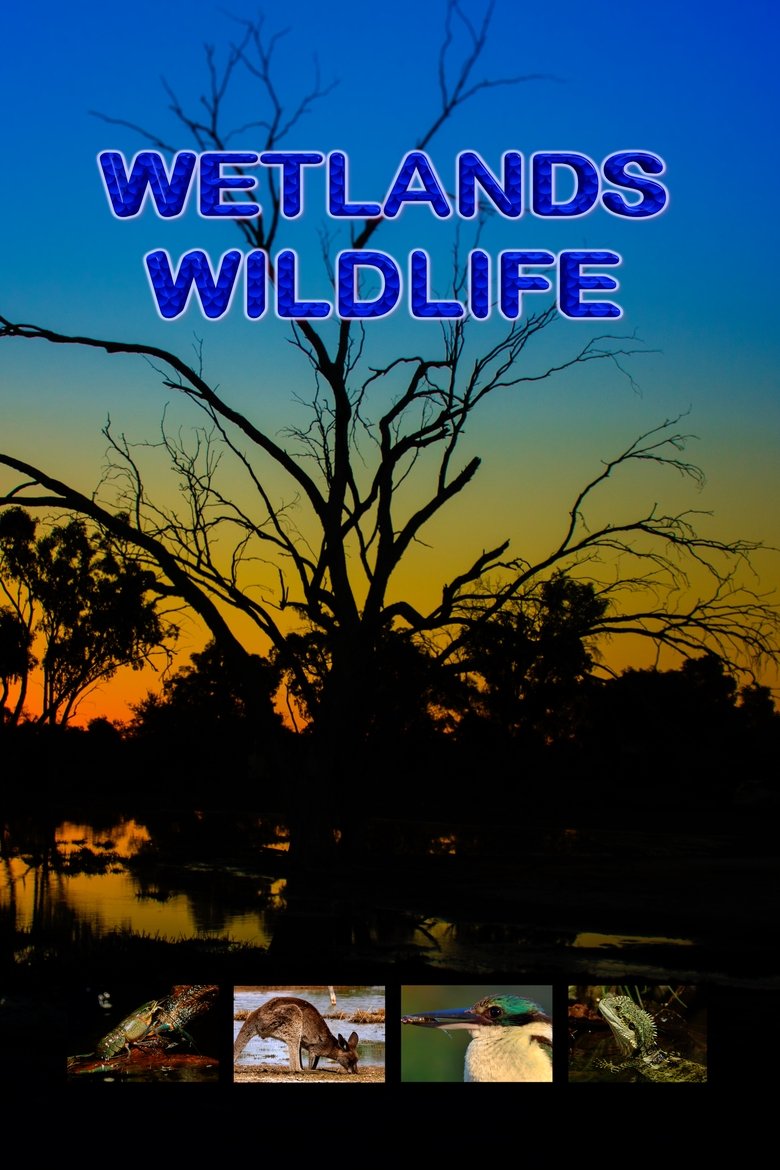 Poster of Wetlands Wildlife