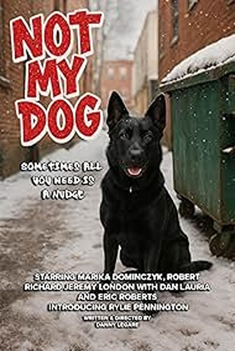 Poster of Not My Dog