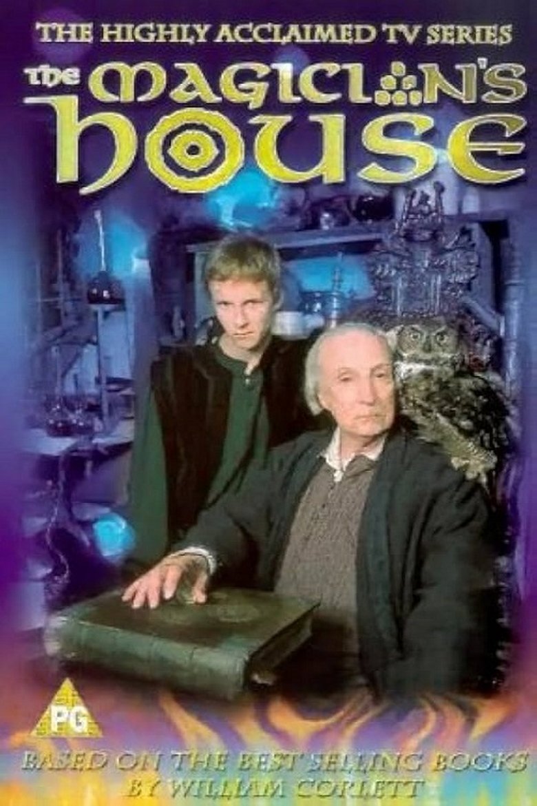 Poster of The Magician's House