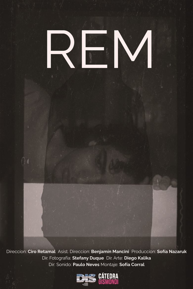 Poster of REM