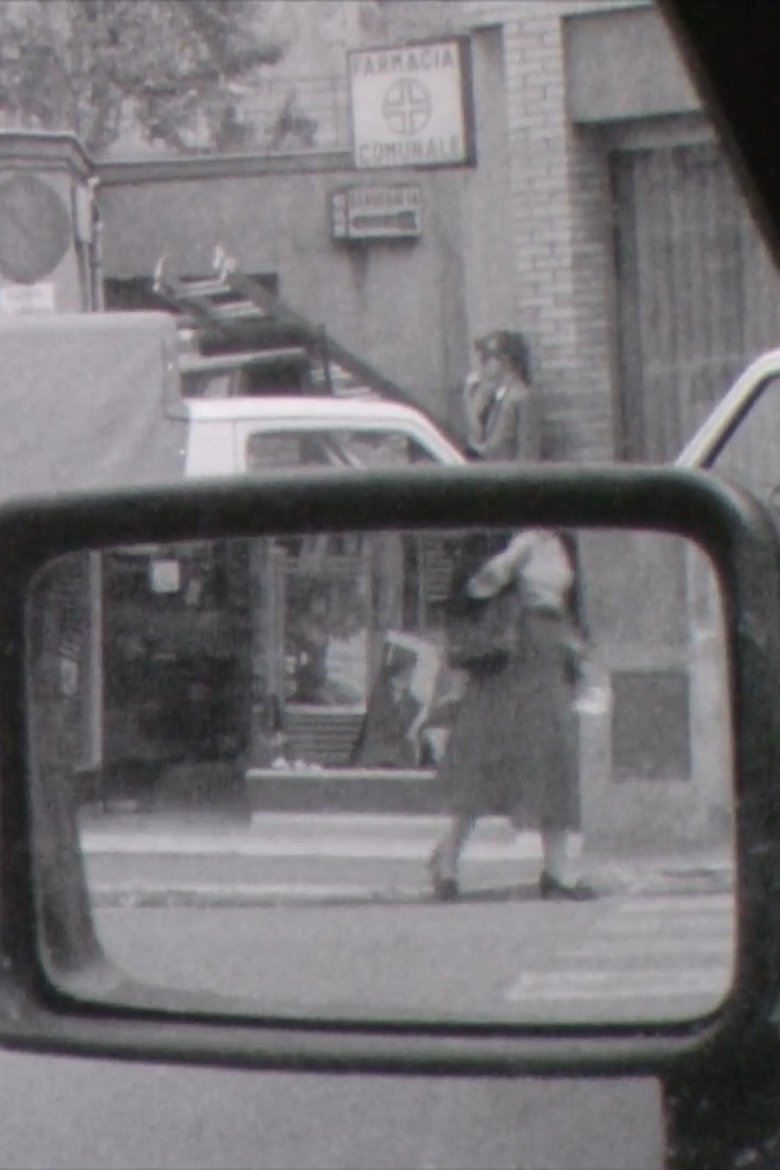 Poster of Views From a Car