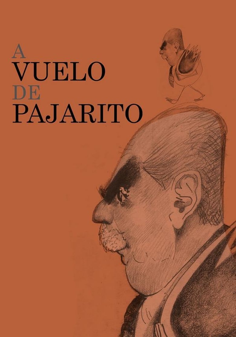 Poster of A vuelo de pajarito