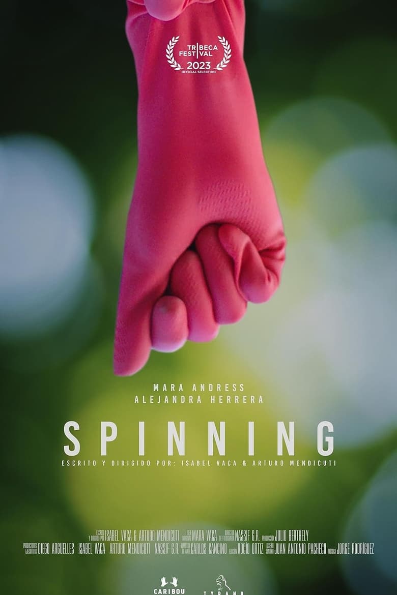 Poster of Spinning