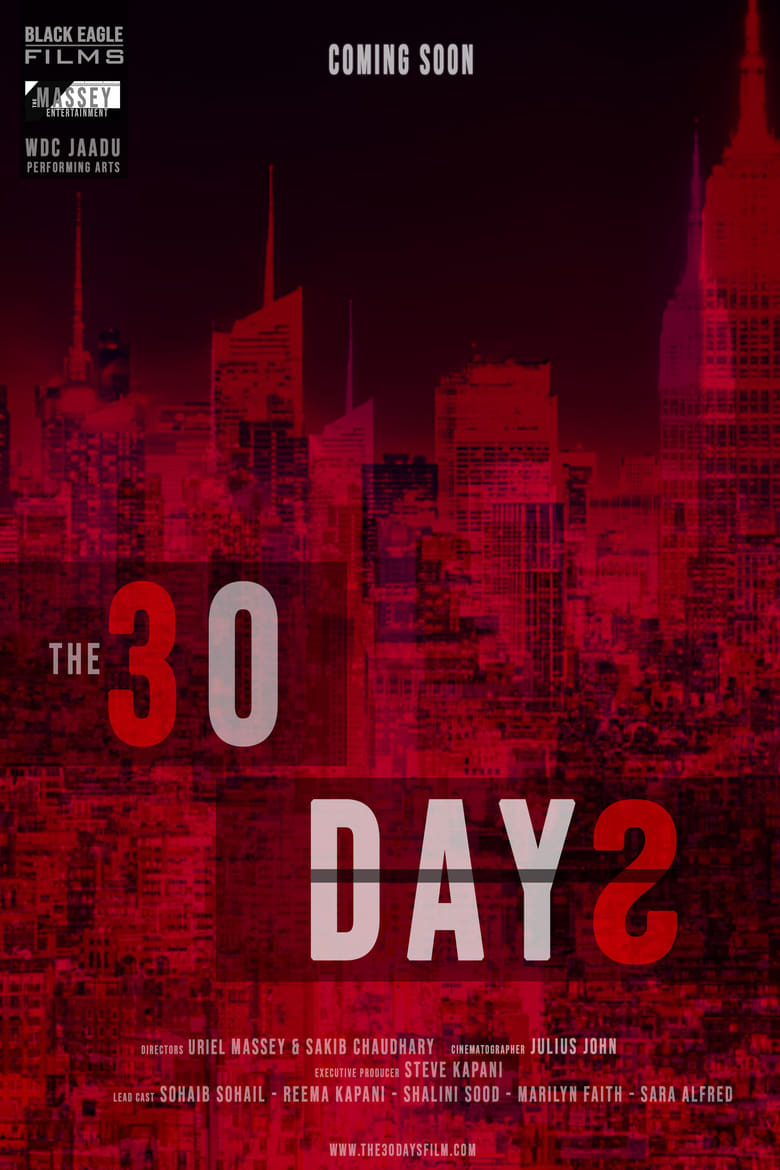 Poster of The 30 Days