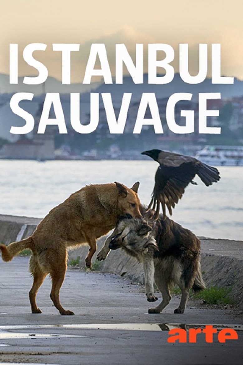 Poster of Istanbul sauvage