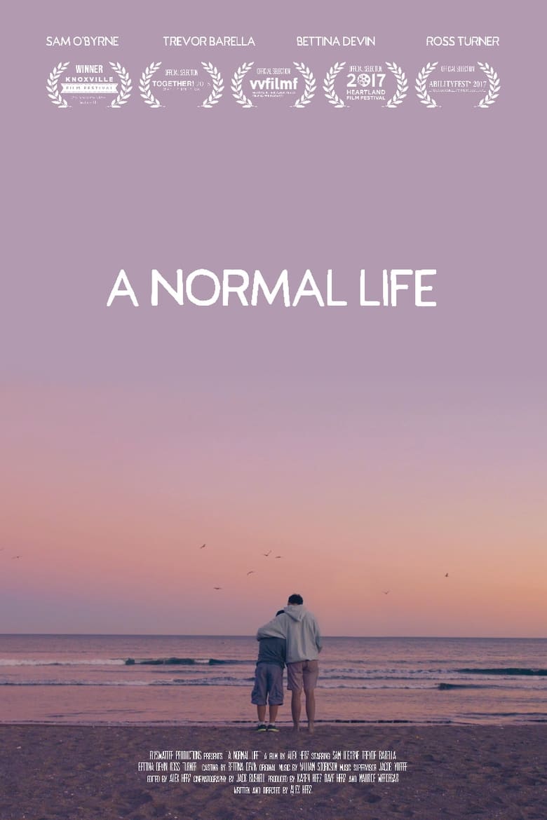 Poster of A Normal Life