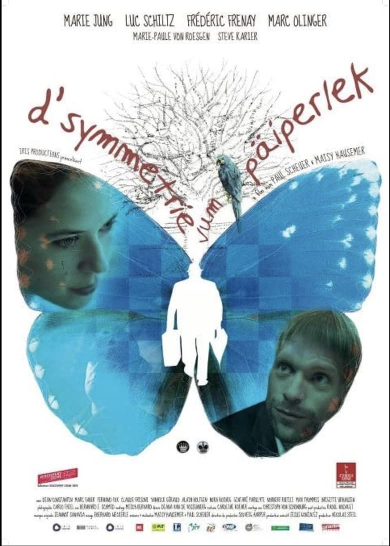 Poster of D'Symmetrie vum Päiperlek