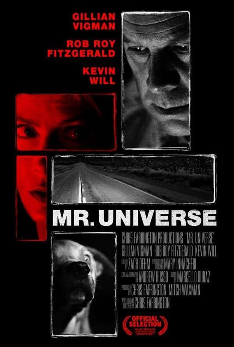 Poster of Mr. Universe