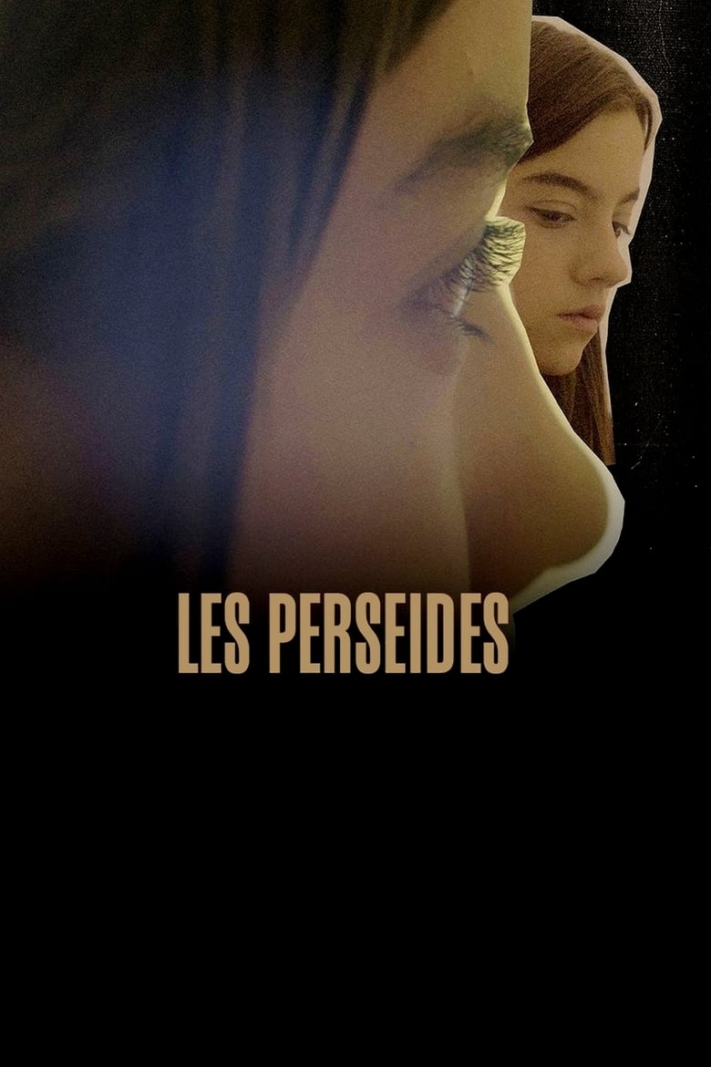 Poster of The Perseids