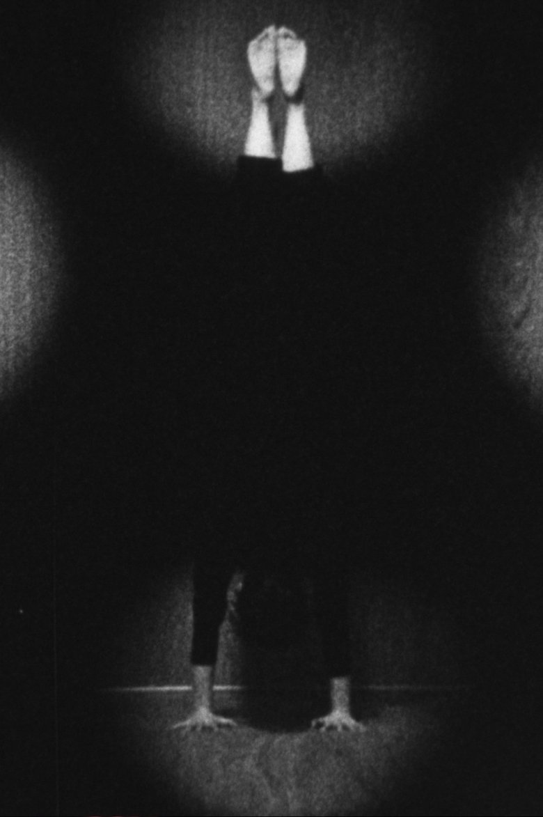 Poster of 逆立ち逆立ち : If pinholes were right side up, I would be doing handstands.