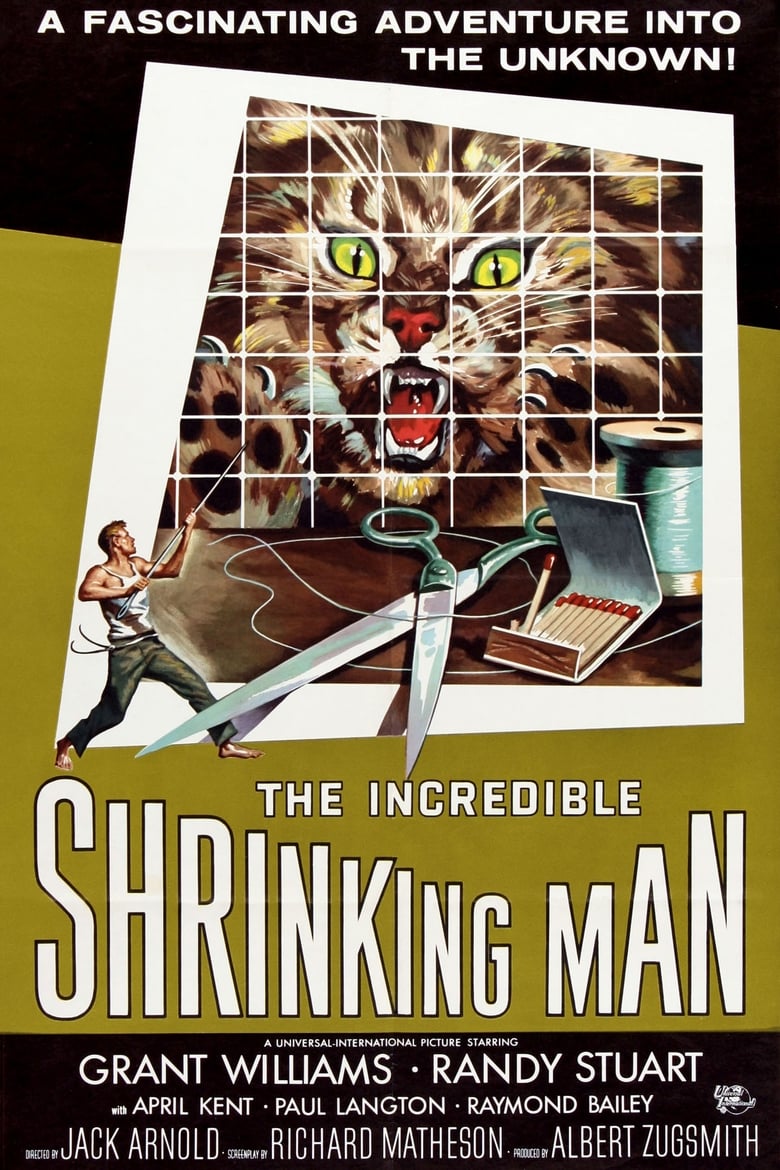 Poster of The Incredible Shrinking Man