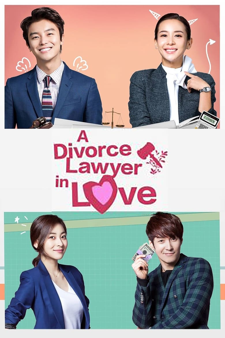 Poster of Divorce Lawyer in Love