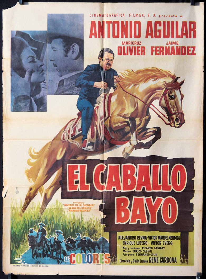 Poster of El Caballo Bayo