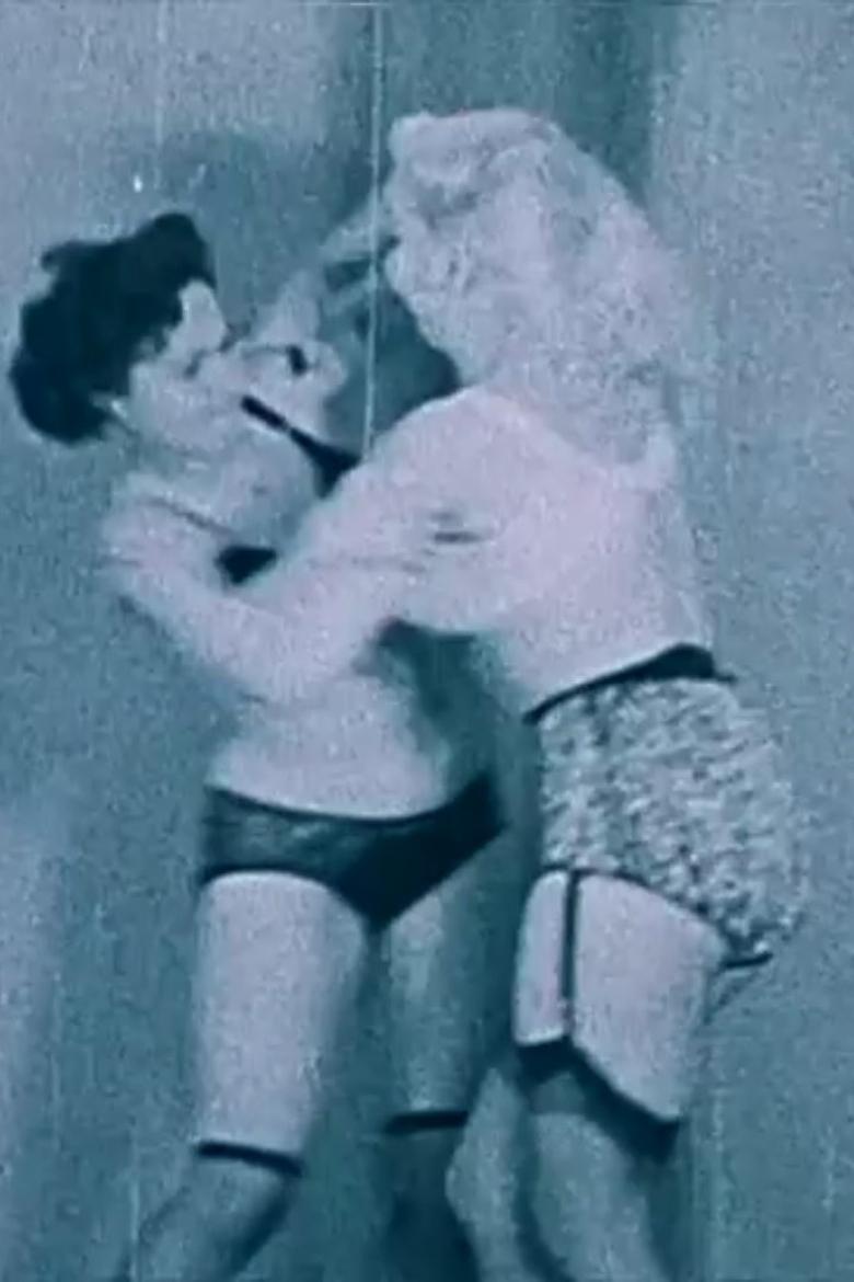 Poster of Negligee Fight