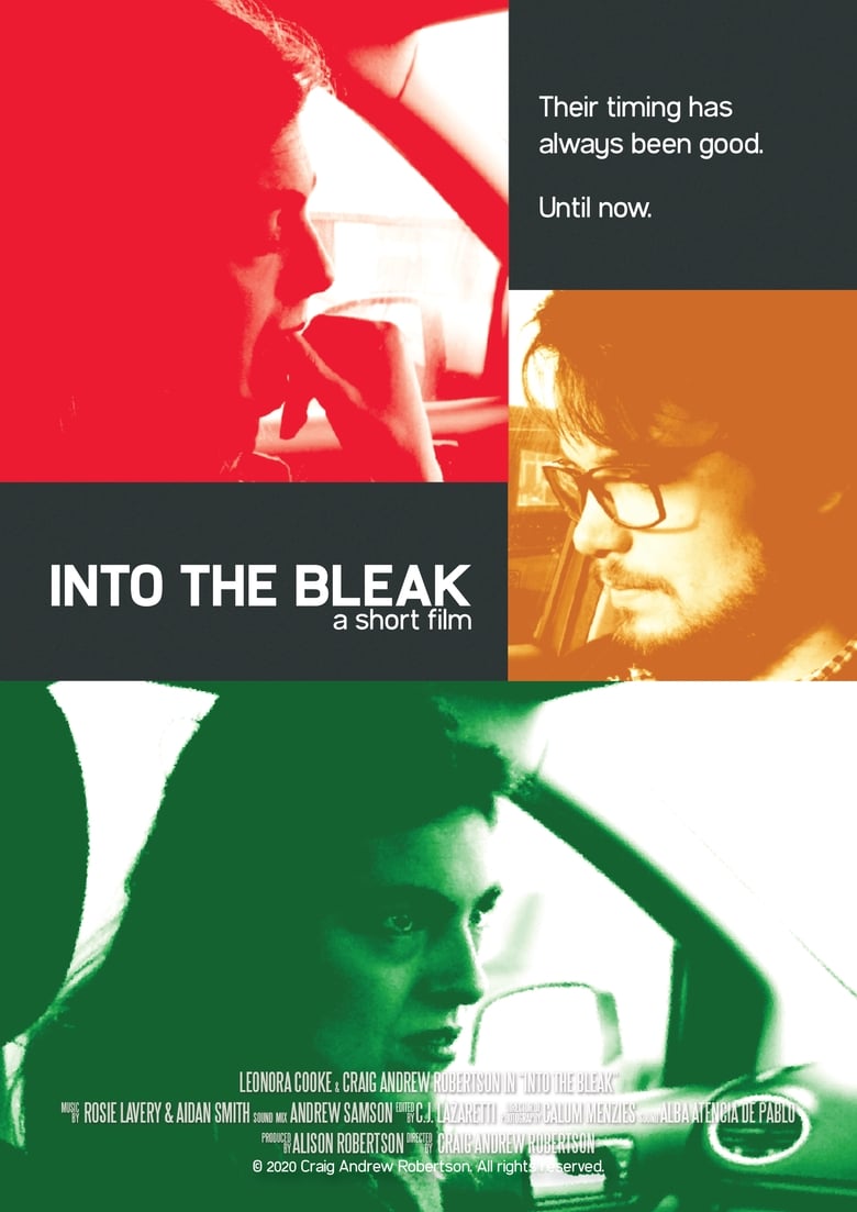 Poster of Into the Bleak