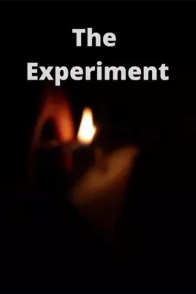 Poster of The Experiment