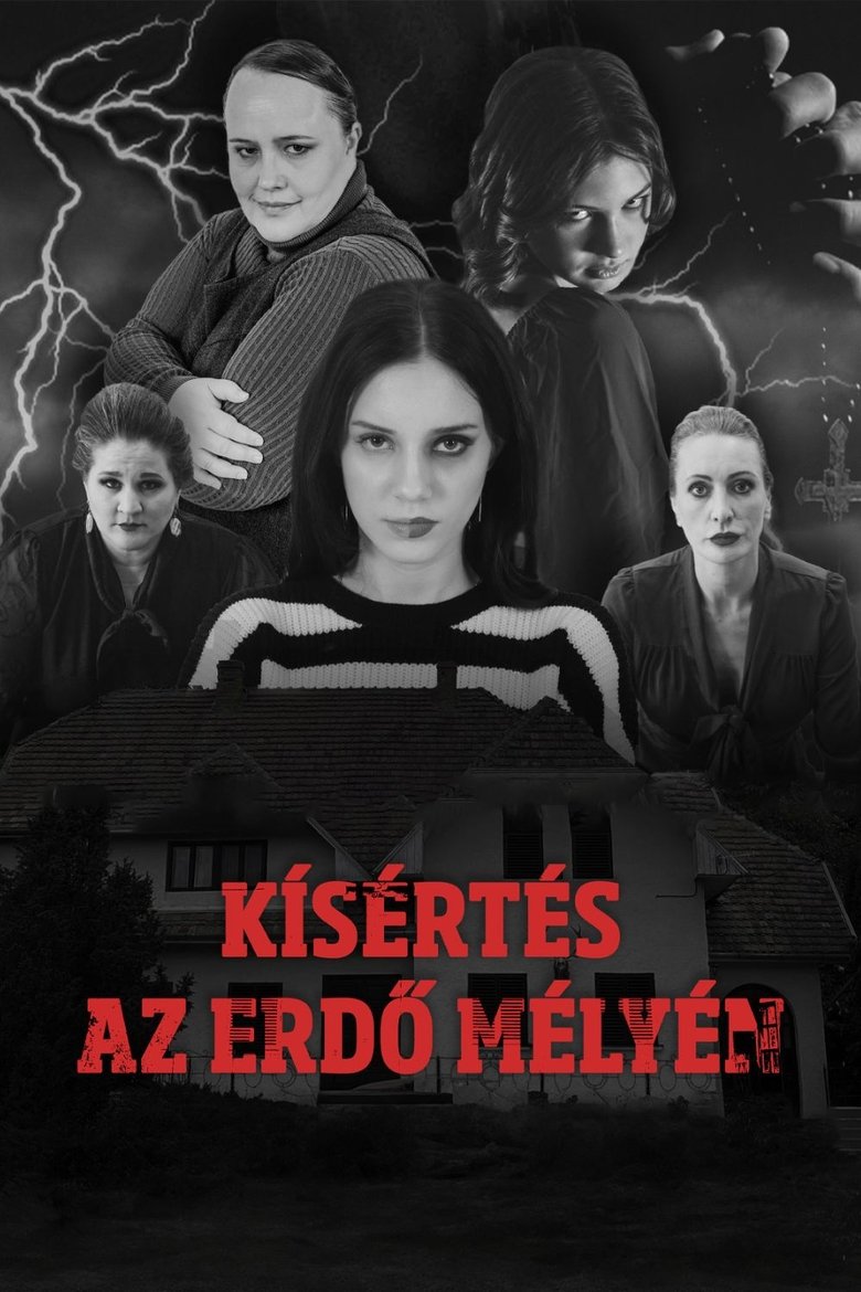 Poster of Kísértés az erdő mélyén - "A Megtört Fény"