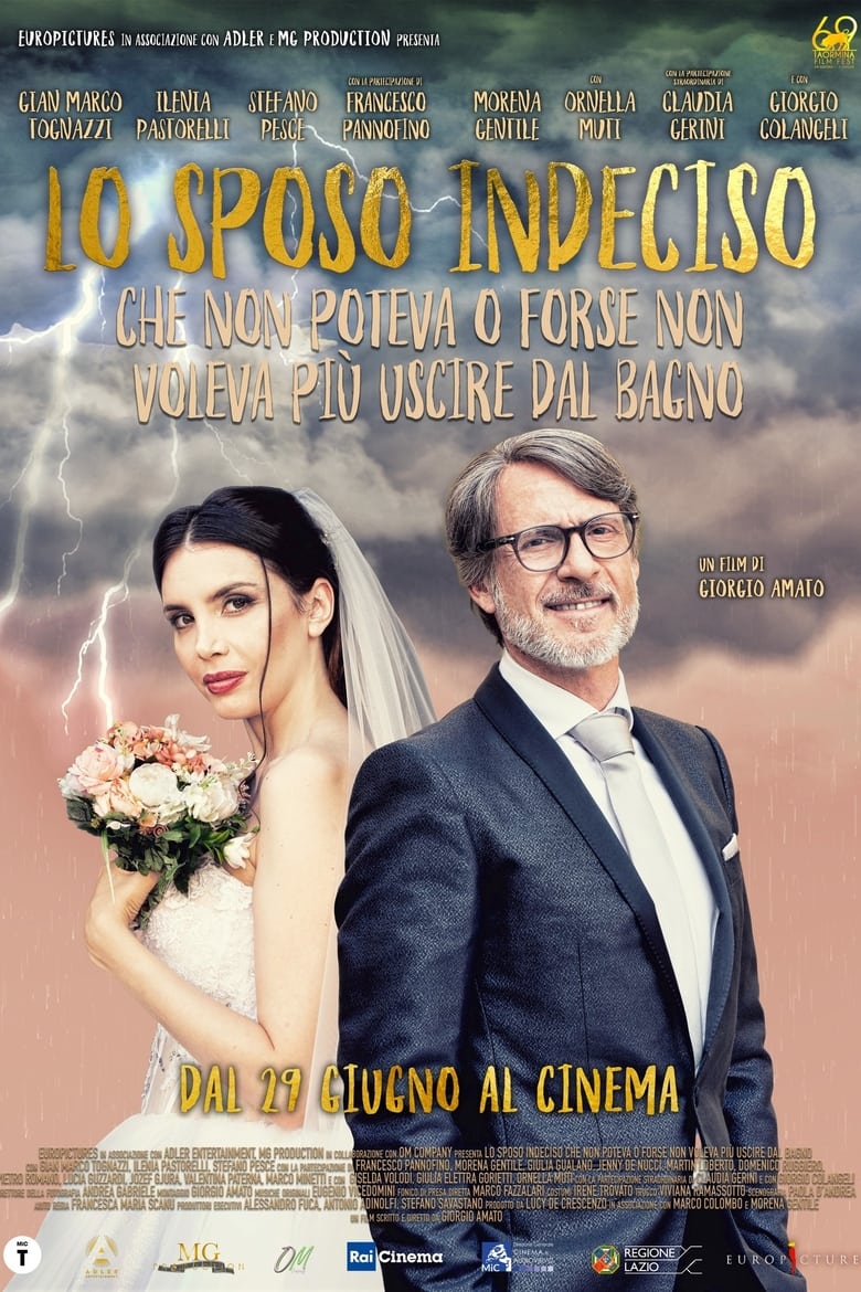 Poster of The Undecided Groom