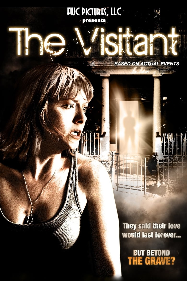 Poster of The Visitant