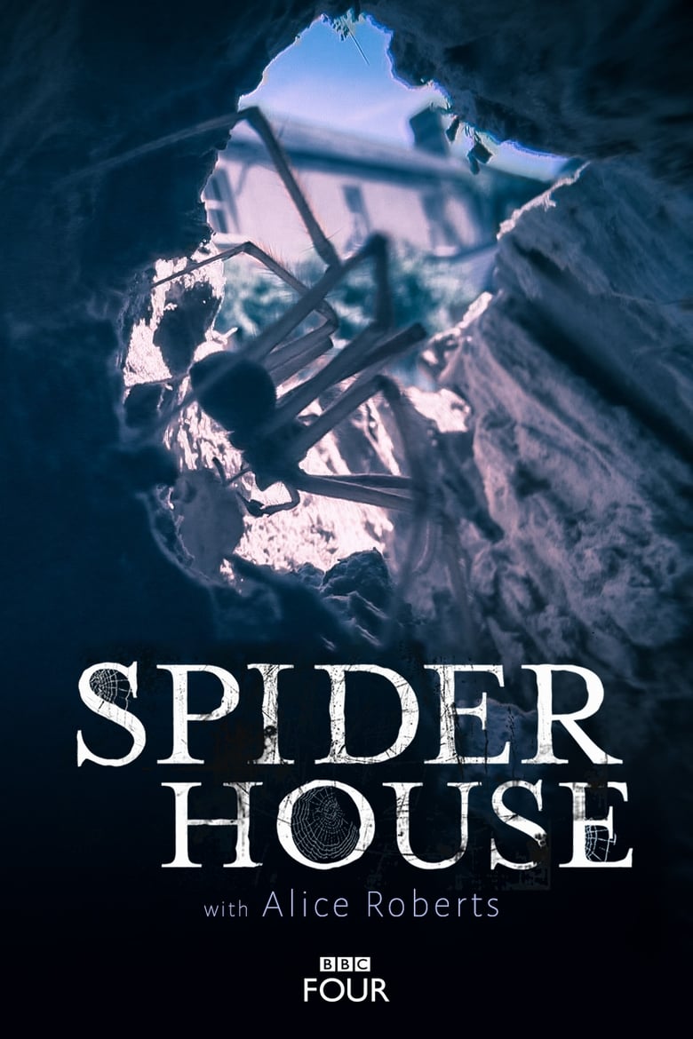 Poster of Spider House