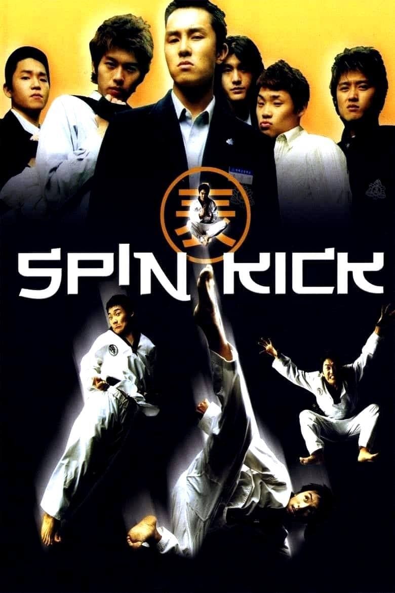 Poster of Spin Kick