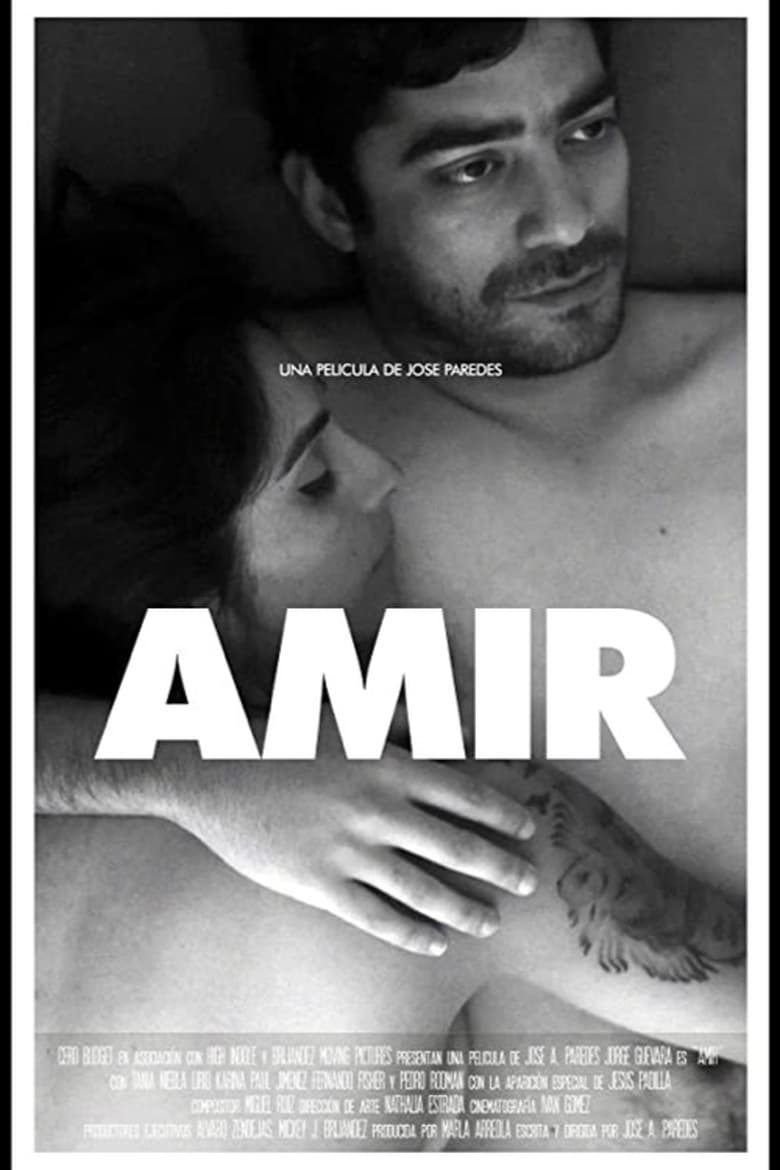 Poster of Amir