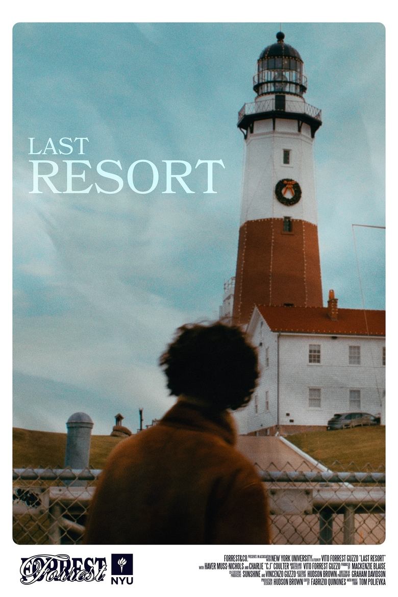 Poster of Last Resort