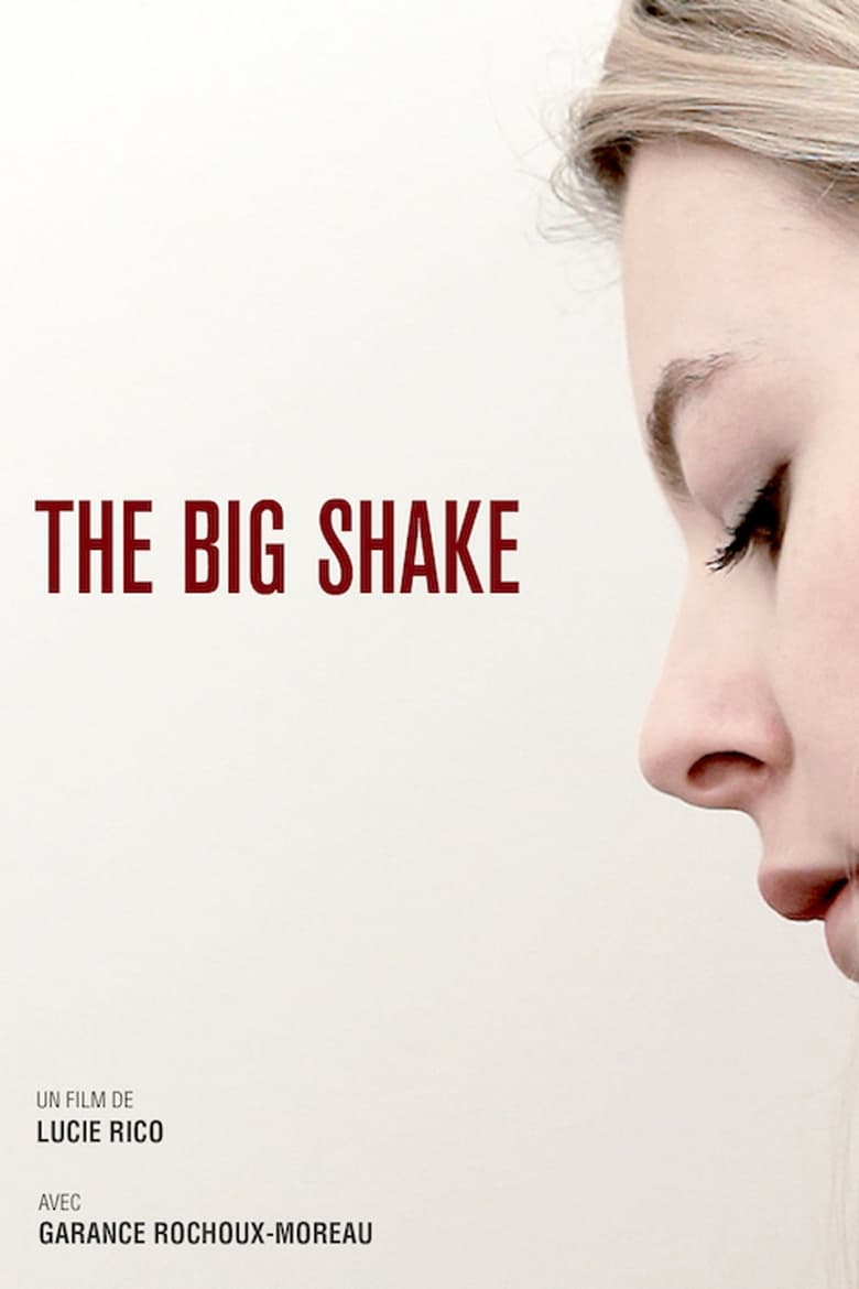 Poster of The Big Shake