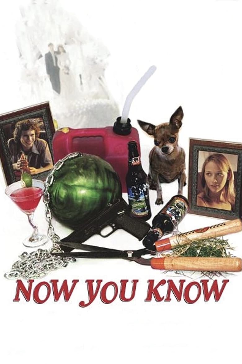 Poster of Now You Know