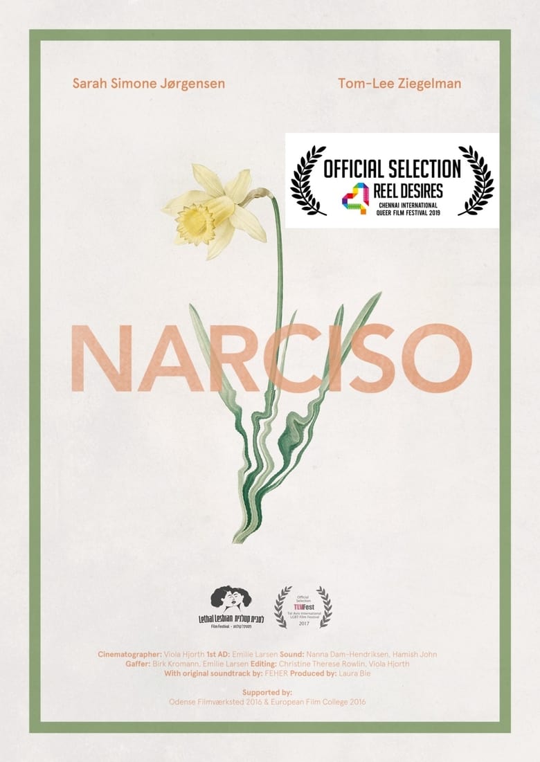 Poster of Narciso