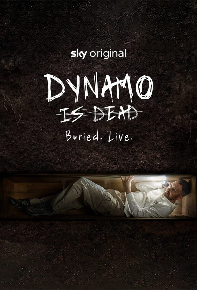 Poster of Dynamo is Dead