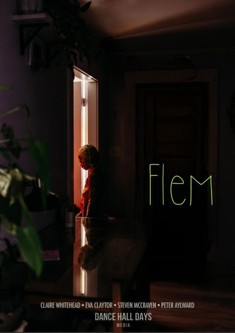Poster of Flem