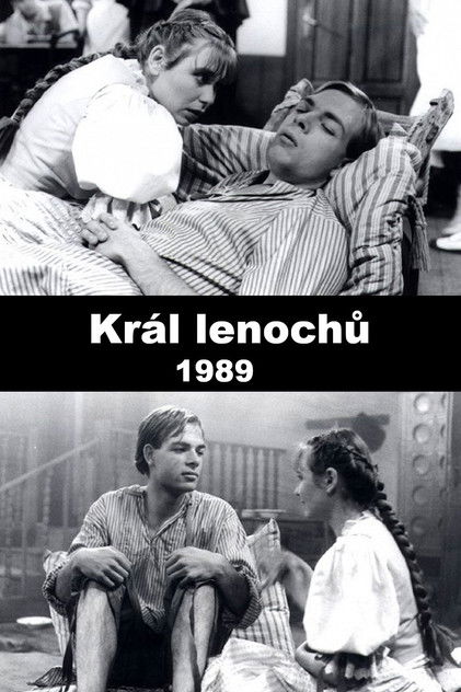 Poster of Král lenochů
